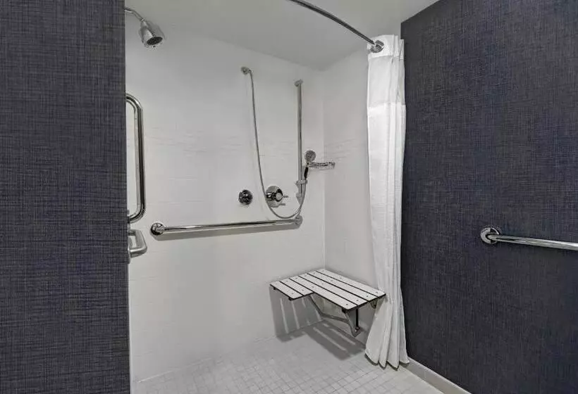 سوئیت 2 خوابه, Residence Inn Louisville Airport