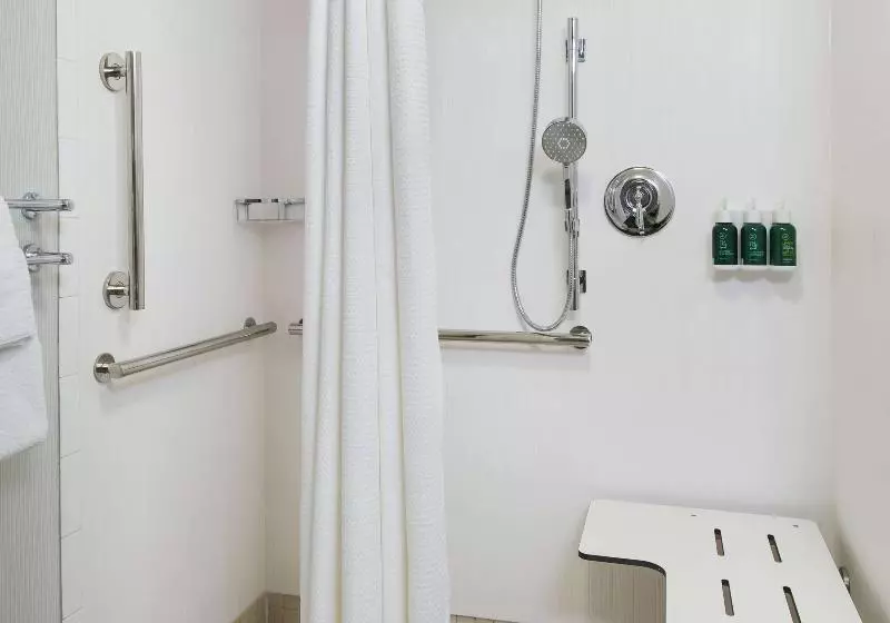سوئیت برای معلولان, Sonesta Es Suites Charleston