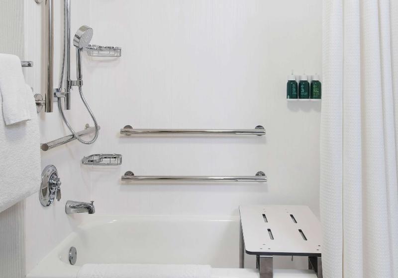 جناح لذوى الاحتياجات الخاصة, Sonesta Es Suites Charleston