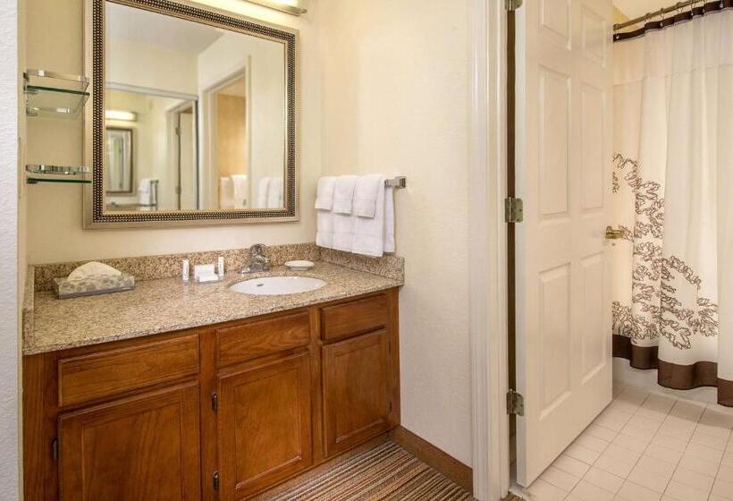 جناح لذوى الاحتياجات الخاصة, Sonesta Es Suites Charleston