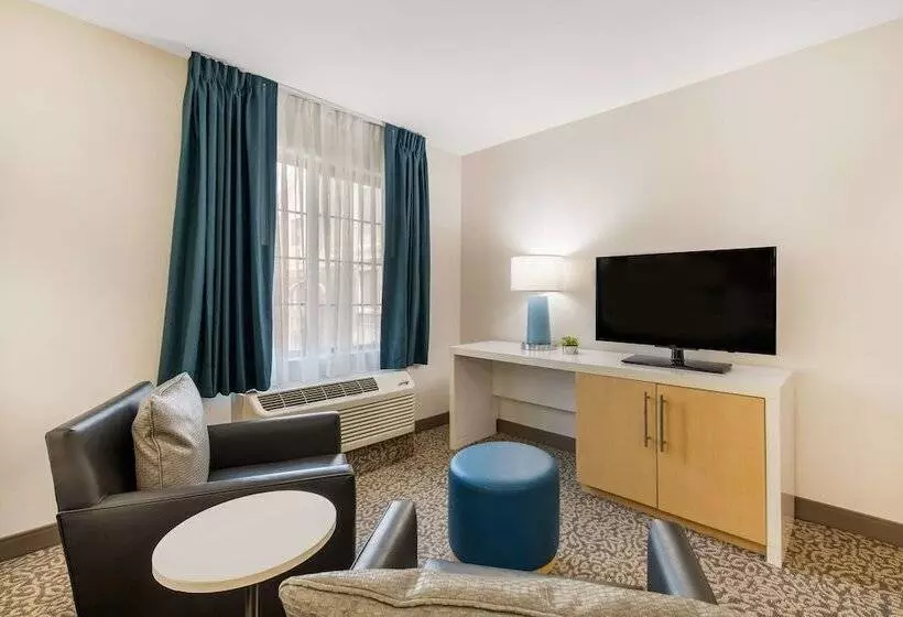 ダブルベッドのスタンダードスタジオ, Sonesta Es Suites Charlotte Arrowood