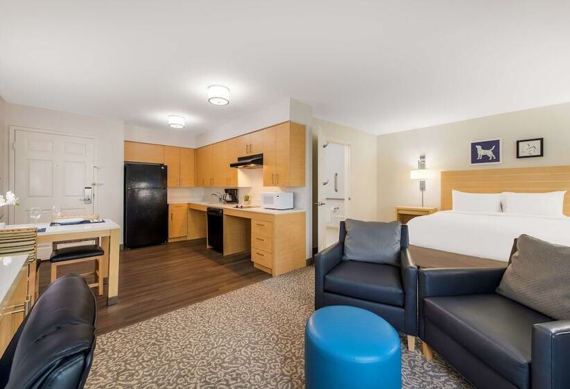 Студия Стандарт Двуспальная Кровать, Sonesta Es Suites Charlotte Arrowood