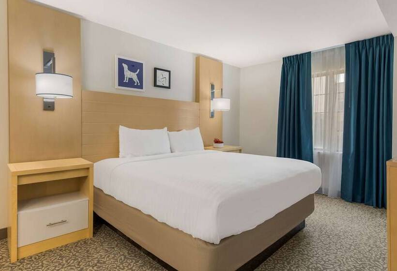 ダブルベッドのスタンダードスタジオ, Sonesta Es Suites Charlotte Arrowood