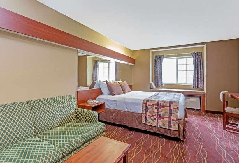 غرفة قياسية لذوى الاحتياجات الخاصة, Microtel Inn & Suites By Wyndham Norcross