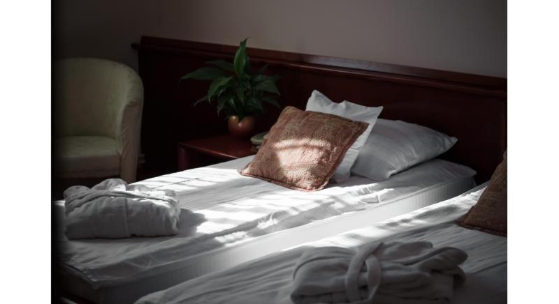 اتاق استاندارد, Garni Hotel Vila Milord Resort