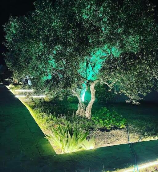 غرفة قياسية ثلاثية مزودة بشرفة, Adasu Otel