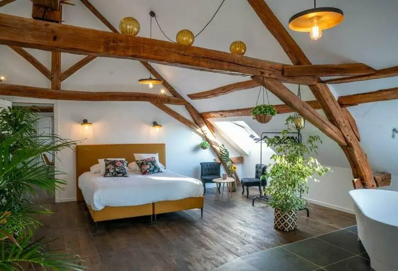 デラックスルーム, La Maison De Souhey