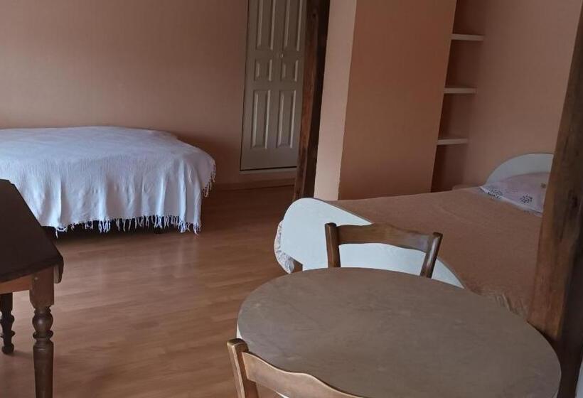 סטודיו סטנדרטי נוף לגינה, Chez Pierre