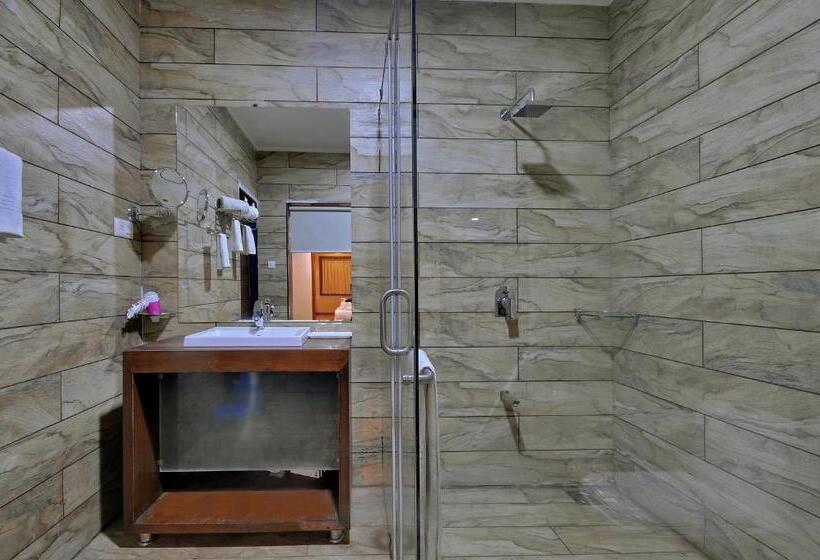 Номер Deluxe, Vishal Lords Inn Gir Forest
