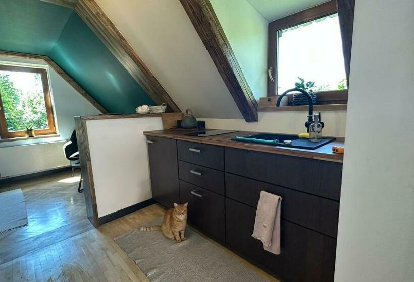 דירה בת חדר שינה 1 עם מרפסת, Uroczysko