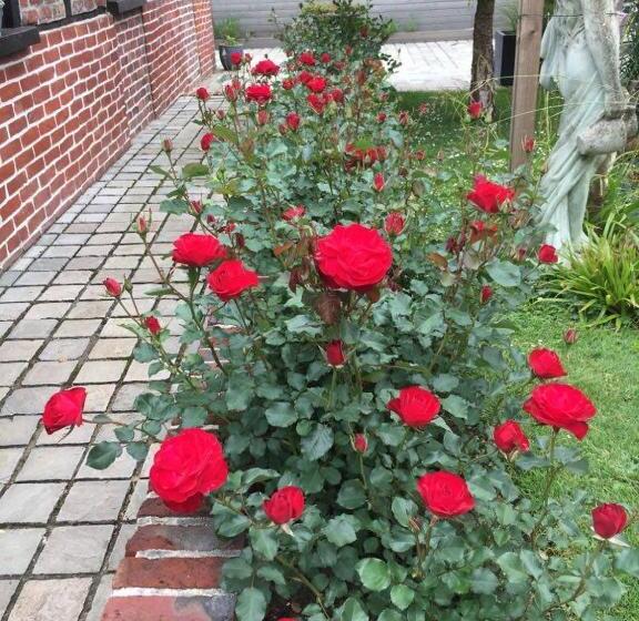 Семейный Номер, Les Charmes Du Petit Pré