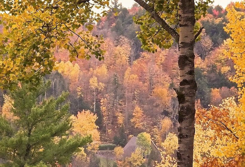 חדר קומפורט, Domaine Baie Mud