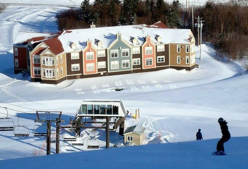 豪华工作室, Marble Villa