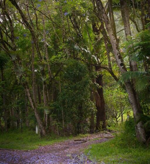 Cabana, Nimbin Waterfall Retreat