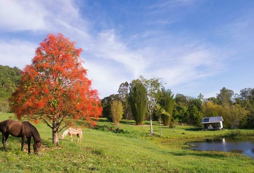 Cabana, Nimbin Waterfall Retreat