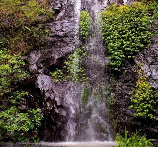 Cabana, Nimbin Waterfall Retreat