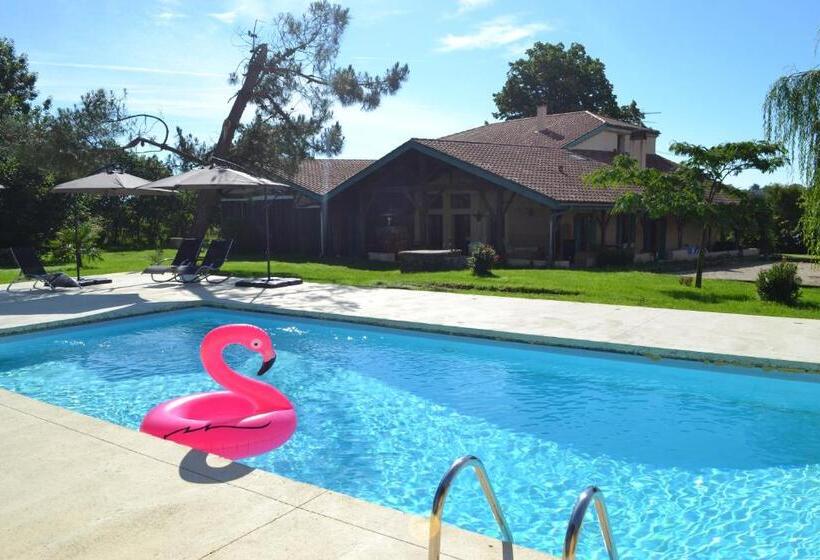 4인용 스탠다드 룸, Les Terrasses Des Mimosas