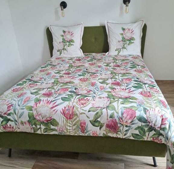 סוויטה, Chez Céline