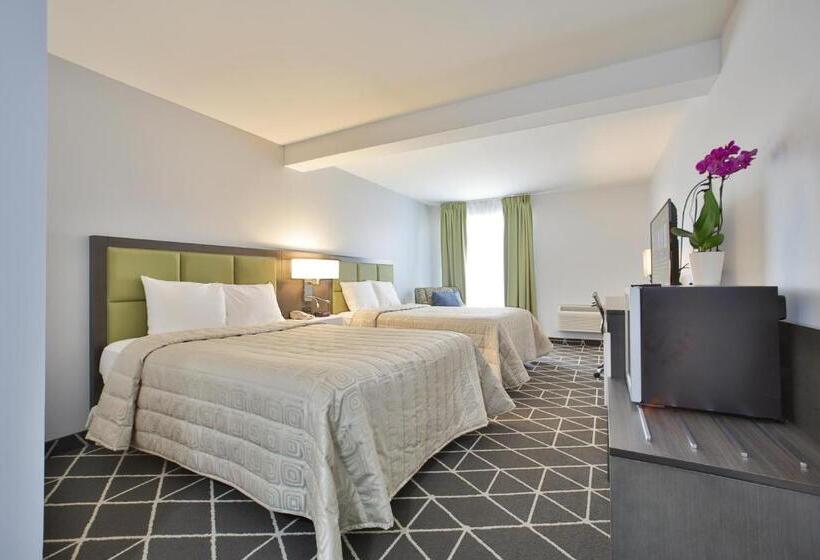 חדר דלוקס מיטת קווין, King