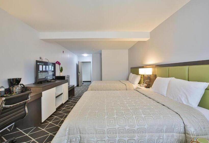 חדר דלוקס מיטת קווין, King