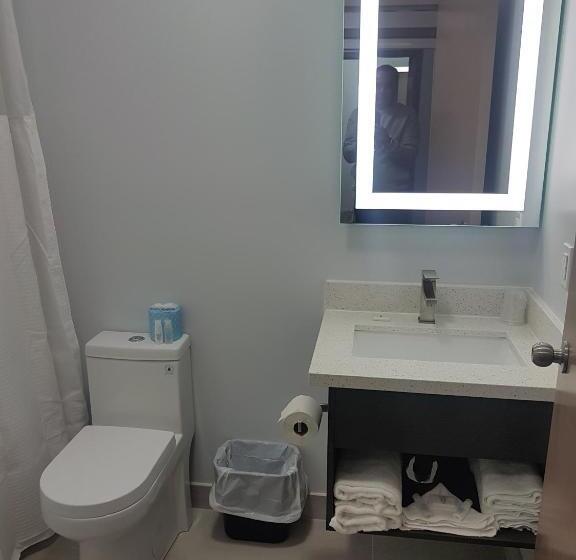 חדר דחוקס עם מיטת קינג, King