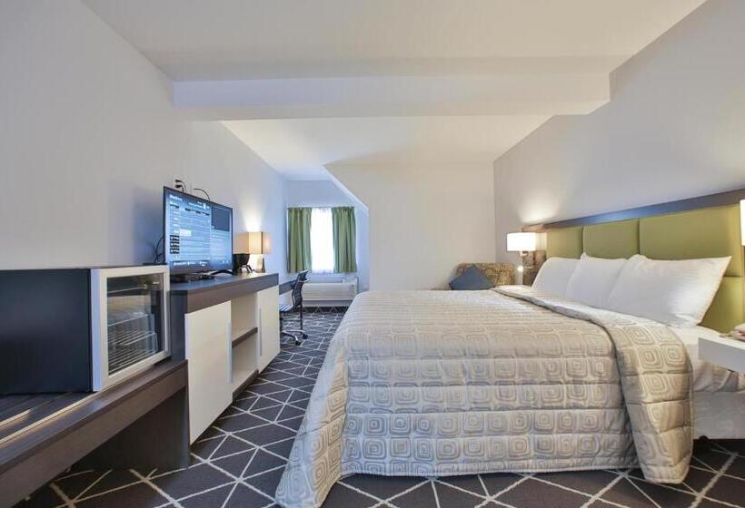 חדר דחוקס עם מיטת קינג, King