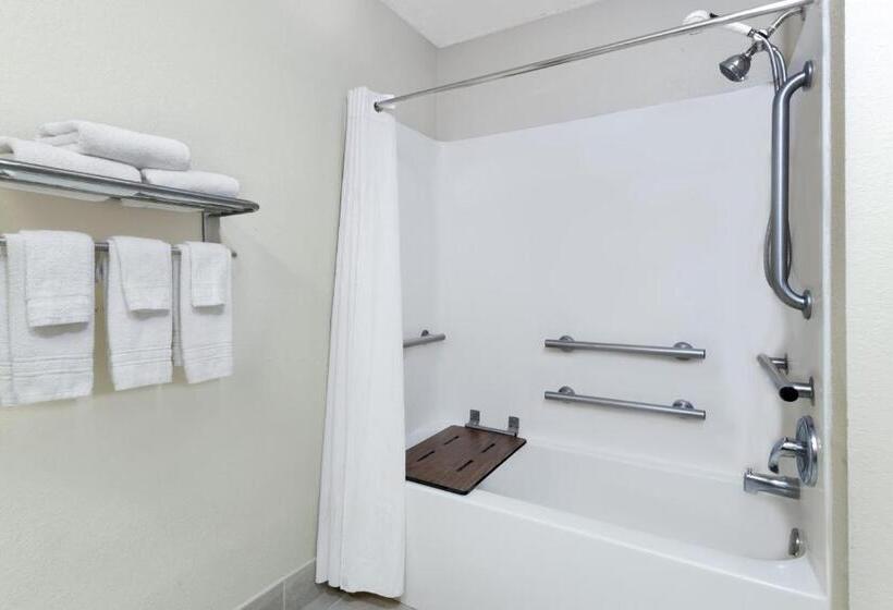 اتاق استاندارد با تخت بزرگ برای معلولان, Baymont By Wyndham Pooler/savannah