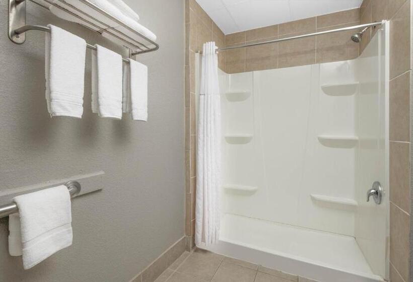 اتاق استاندارد با تخت بزرگ برای معلولان, Baymont By Wyndham Pooler/savannah