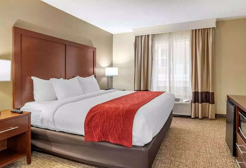 スイート, Comfort Inn & Suites Macon North I75