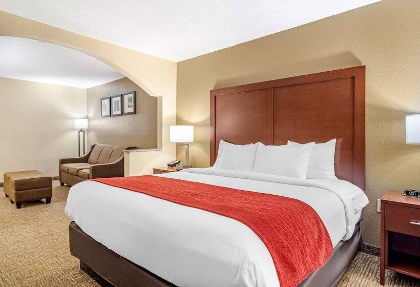 스위트, Comfort Inn & Suites Macon North I75