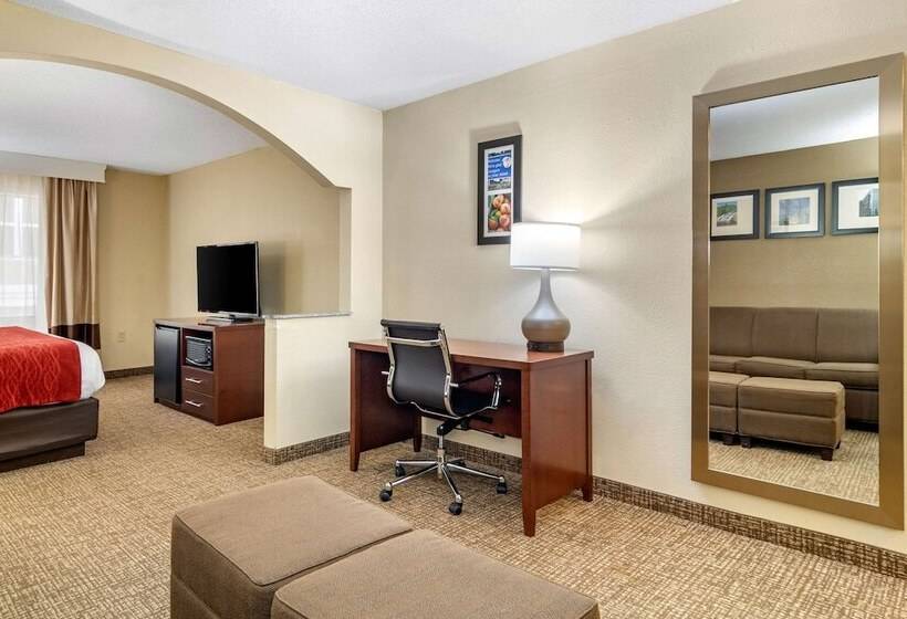 스위트, Comfort Inn & Suites Macon North I75
