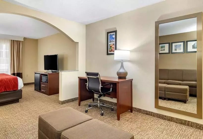 スイート, Comfort Inn & Suites Macon North I75