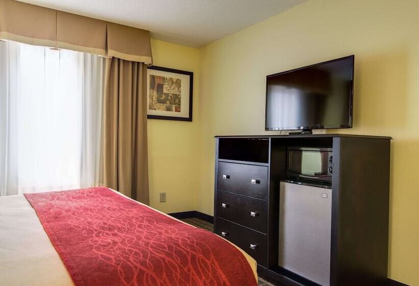 סוויטה, Comfort Inn & Suites Macon North I75