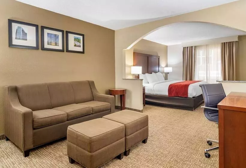 スイート, Comfort Inn & Suites Macon North I75
