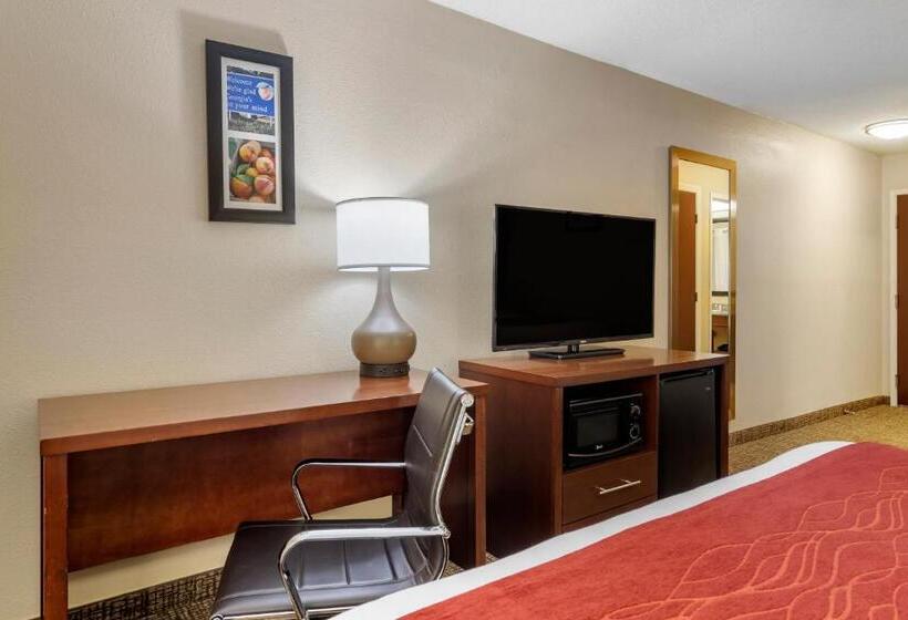 스탠다드 룸 킹사이즈 침대, Comfort Inn & Suites Macon North I75