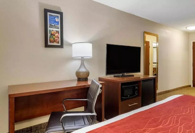 キングサイズベッドのスタンダードルーム, Comfort Inn & Suites Macon North I75