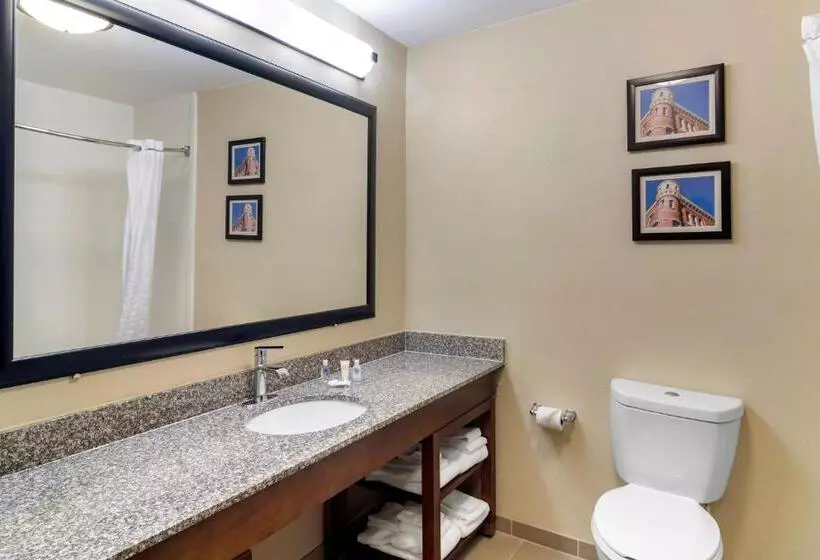 キングサイズベッドのスタンダードルーム, Comfort Inn & Suites Macon North I75