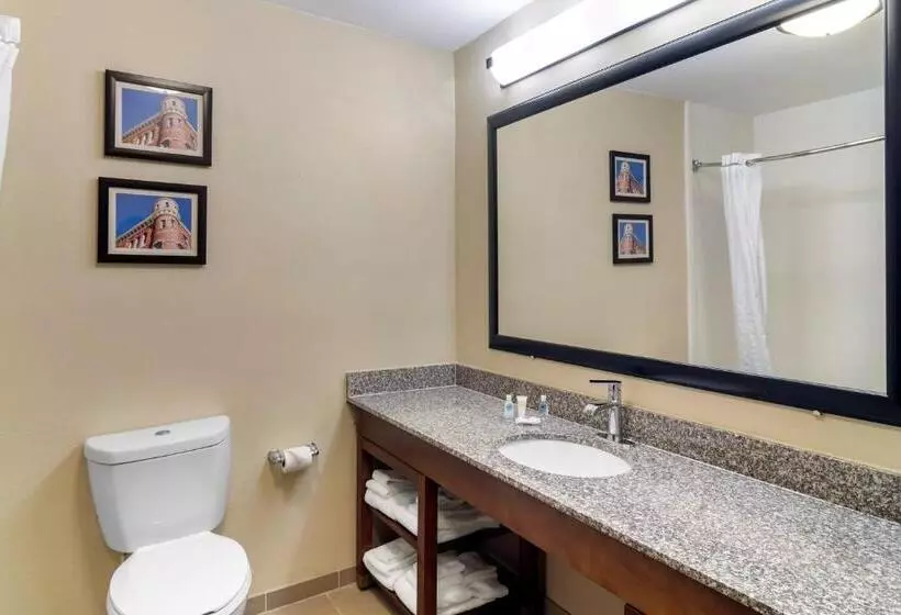 キングサイズベッドのスタンダードルーム, Comfort Inn & Suites Macon North I75