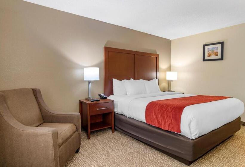 스탠다드 룸 킹사이즈 침대, Comfort Inn & Suites Macon North I75