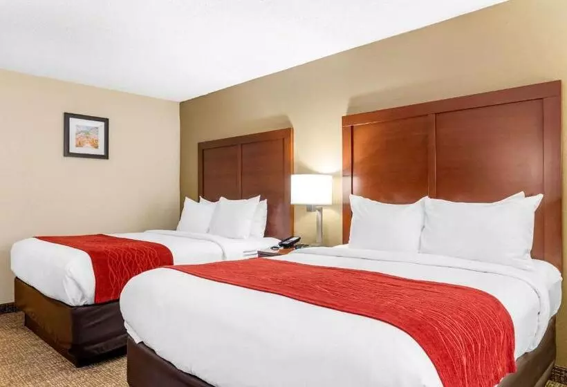 スタンダードルーム, Comfort Inn & Suites Macon North I75