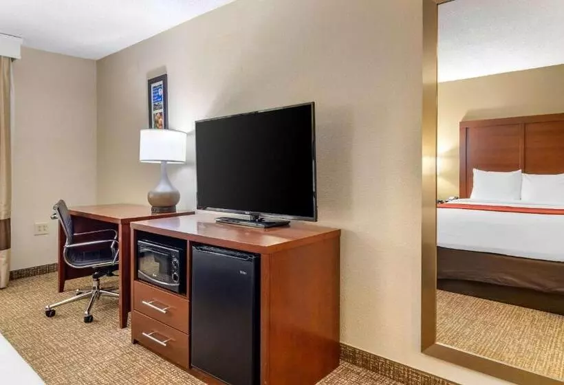 スタンダードルーム, Comfort Inn & Suites Macon North I75