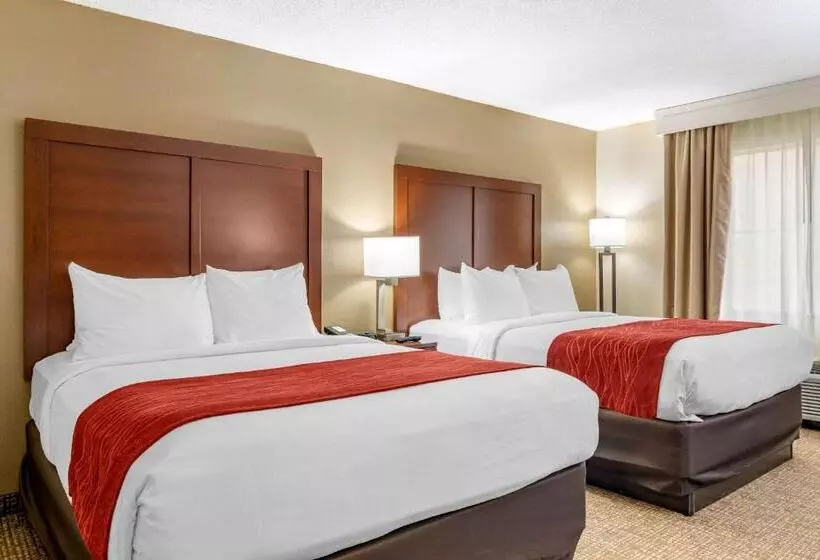 スタンダードルーム, Comfort Inn & Suites Macon North I75