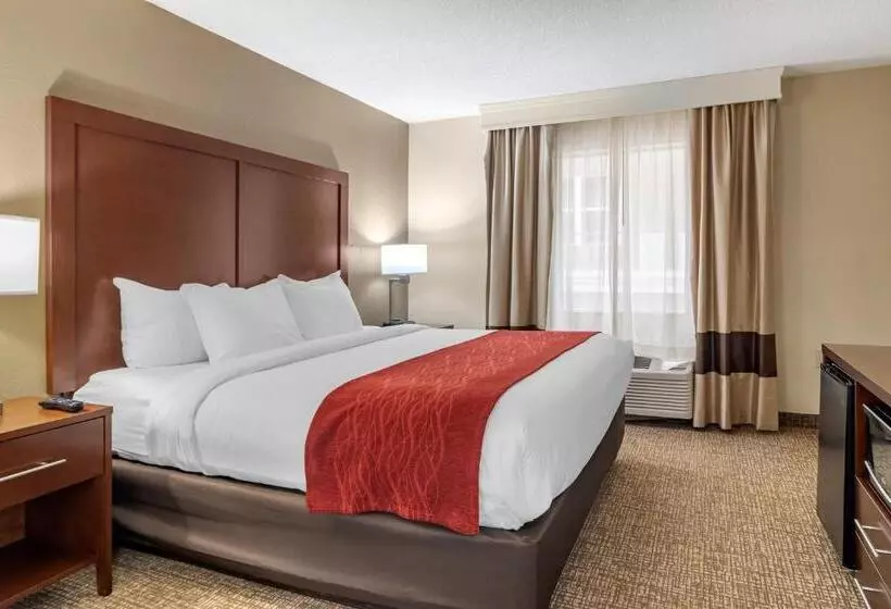 キングサイズベッドのスイートルーム, Comfort Inn & Suites Macon North I75