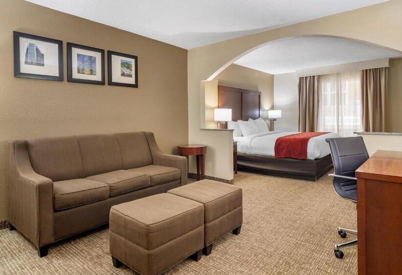 스위트 킹사이즈 침대, Comfort Inn & Suites Macon North I75