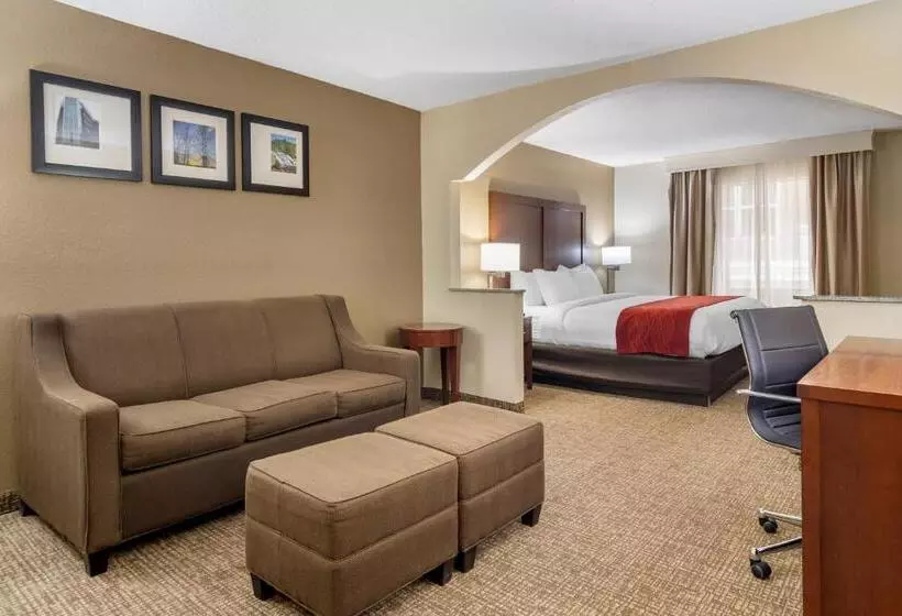 キングサイズベッドのスイートルーム, Comfort Inn & Suites Macon North I75