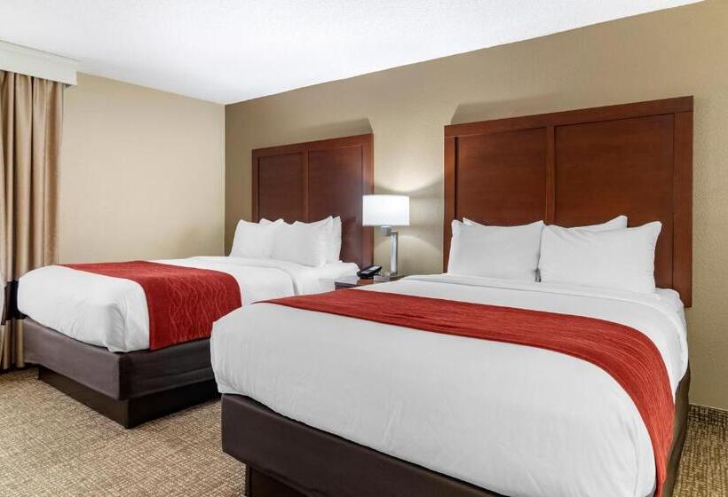 스위트, Comfort Inn & Suites Macon North I75
