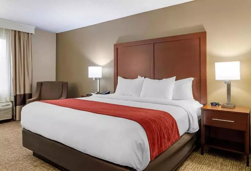 身障者適用キングサイズベッドルーム, Comfort Inn & Suites Macon North I75