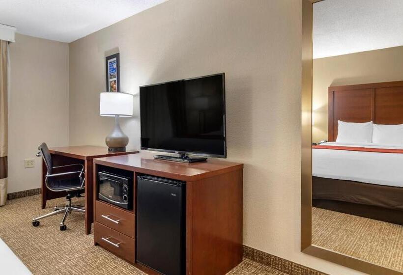 장애인을 위한 킹사이즈 침대 스탠다드 룸, Comfort Inn & Suites Macon North I75