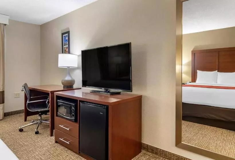 身障者適用キングサイズベッドルーム, Comfort Inn & Suites Macon North I75