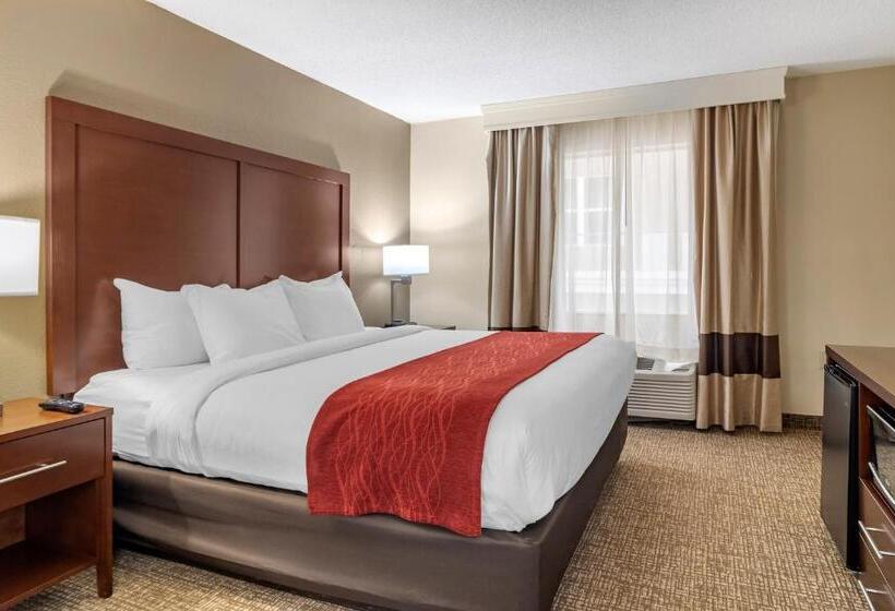 장애인을 위한 킹사이즈 침대 스탠다드 룸, Comfort Inn & Suites Macon North I75